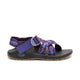 Paddle Grape